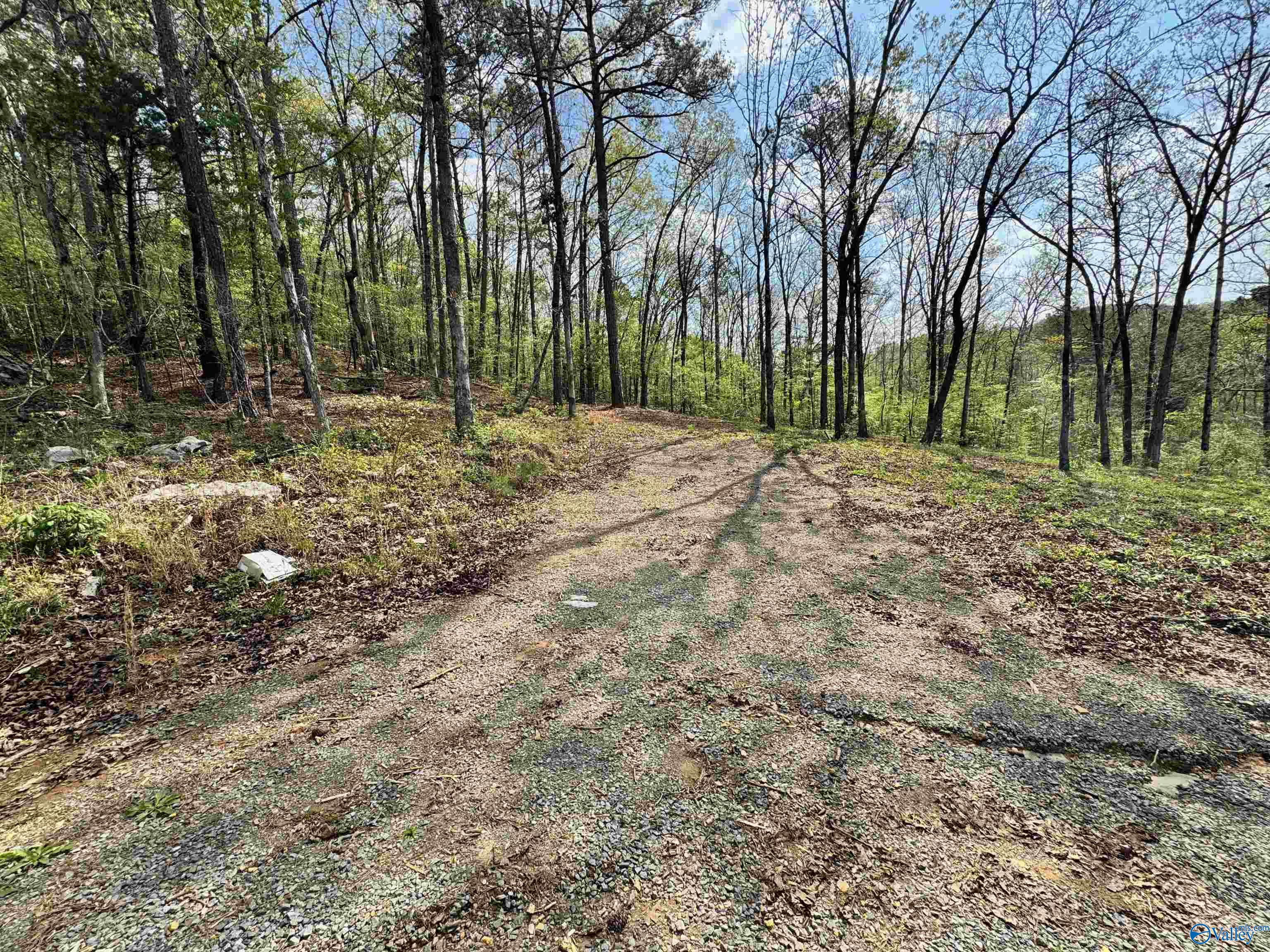 405 Stewart Hollow Road, Grant, Alabama image 19