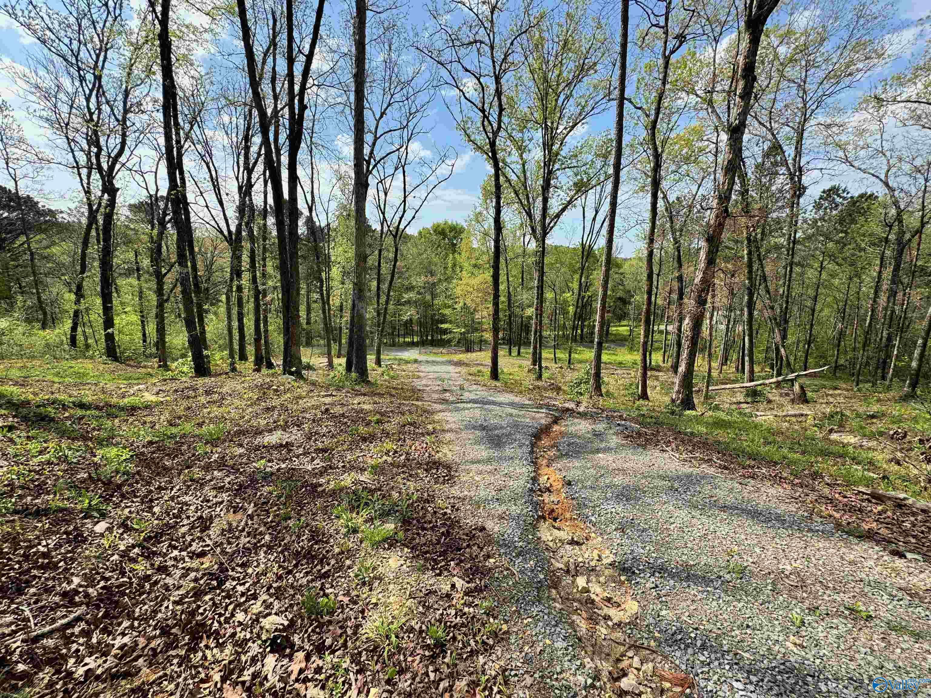 405 Stewart Hollow Road, Grant, Alabama image 20