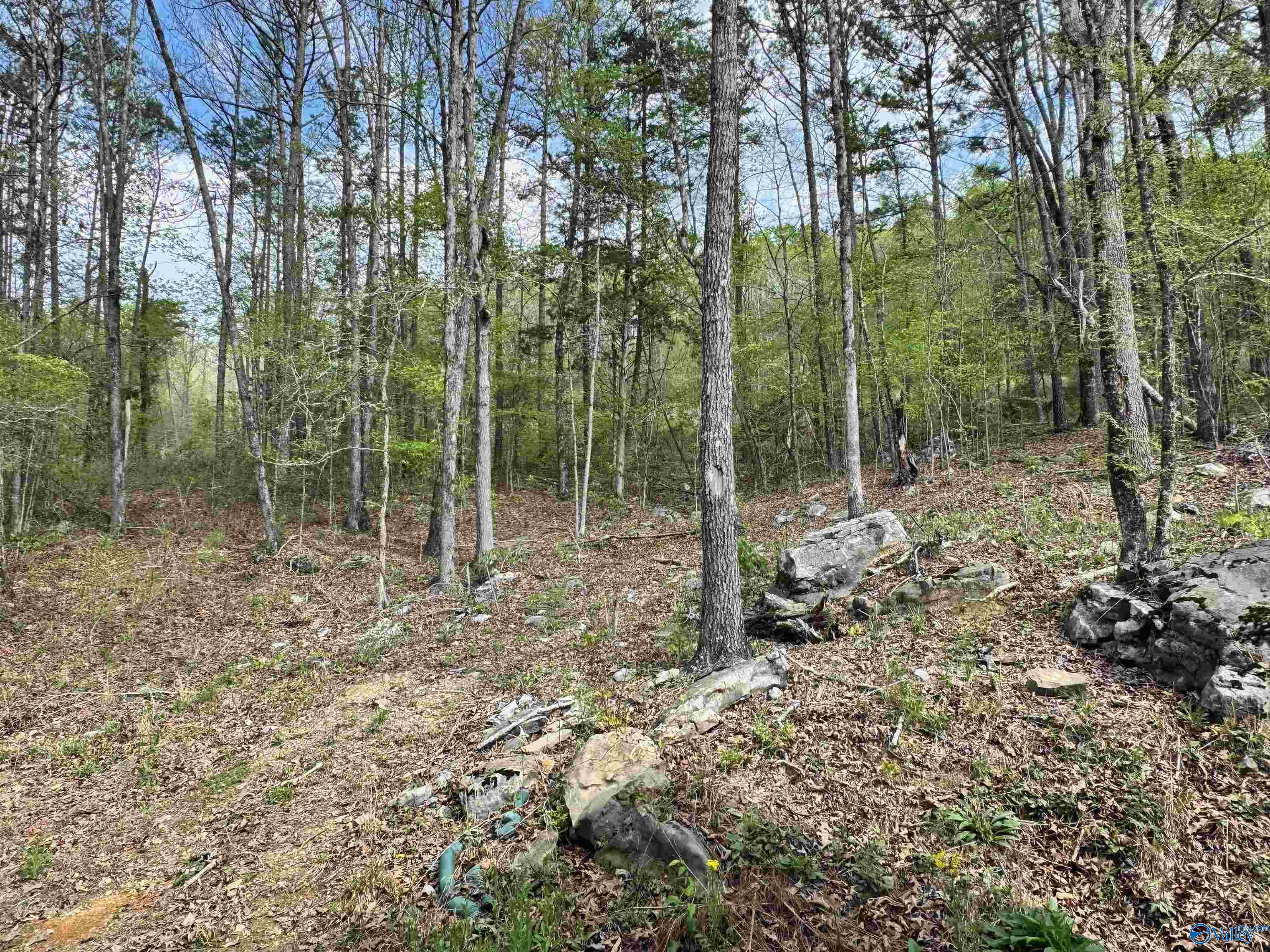 405 Stewart Hollow Road, Grant, Alabama image 13