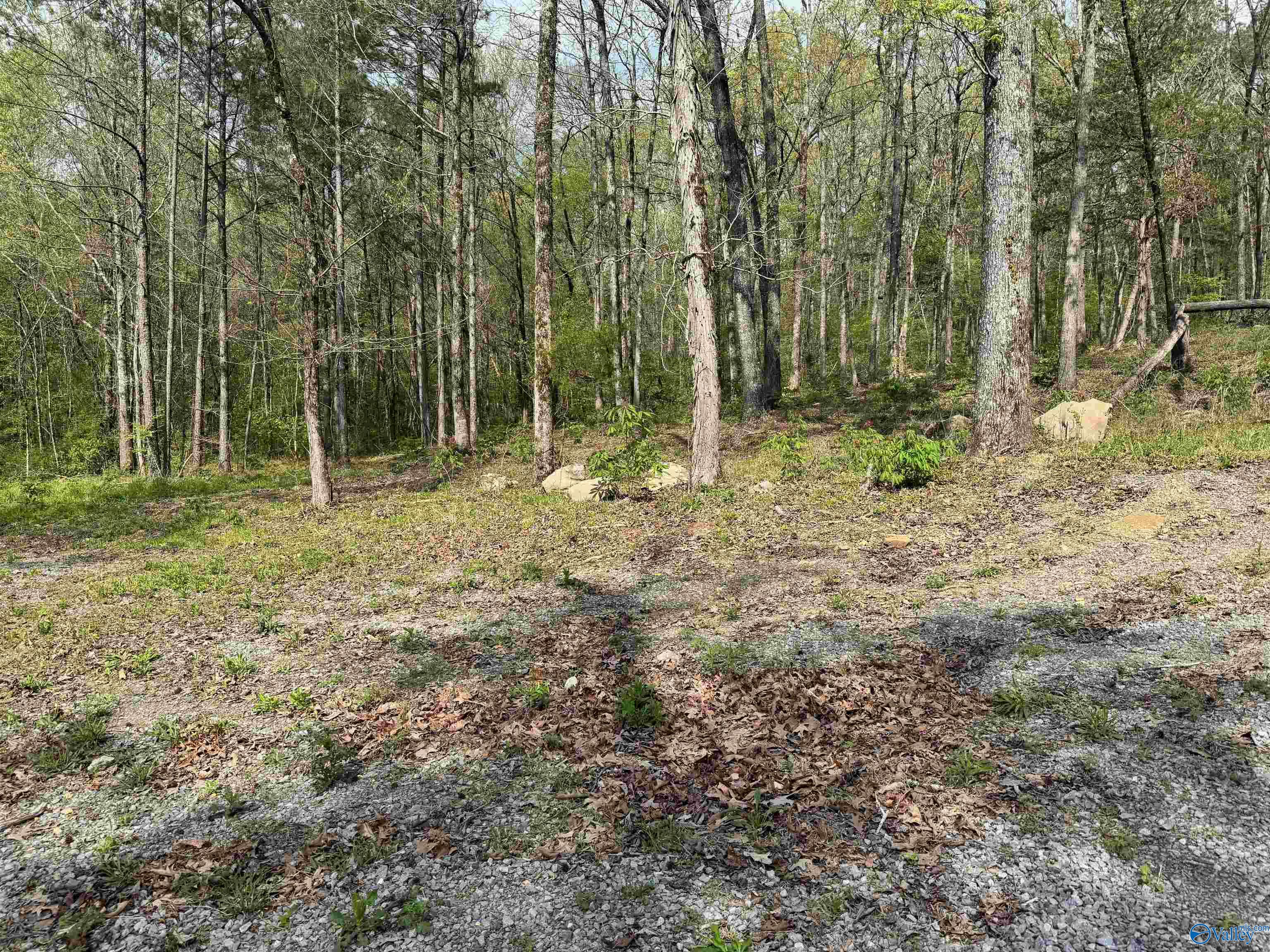 405 Stewart Hollow Road, Grant, Alabama image 23