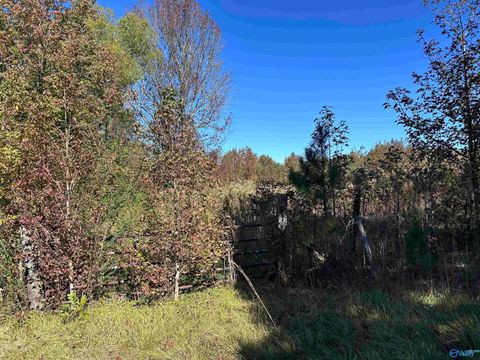 Vacant Land For Sale - 35110 Highway 195<br/> Haleyville, AL 35565
