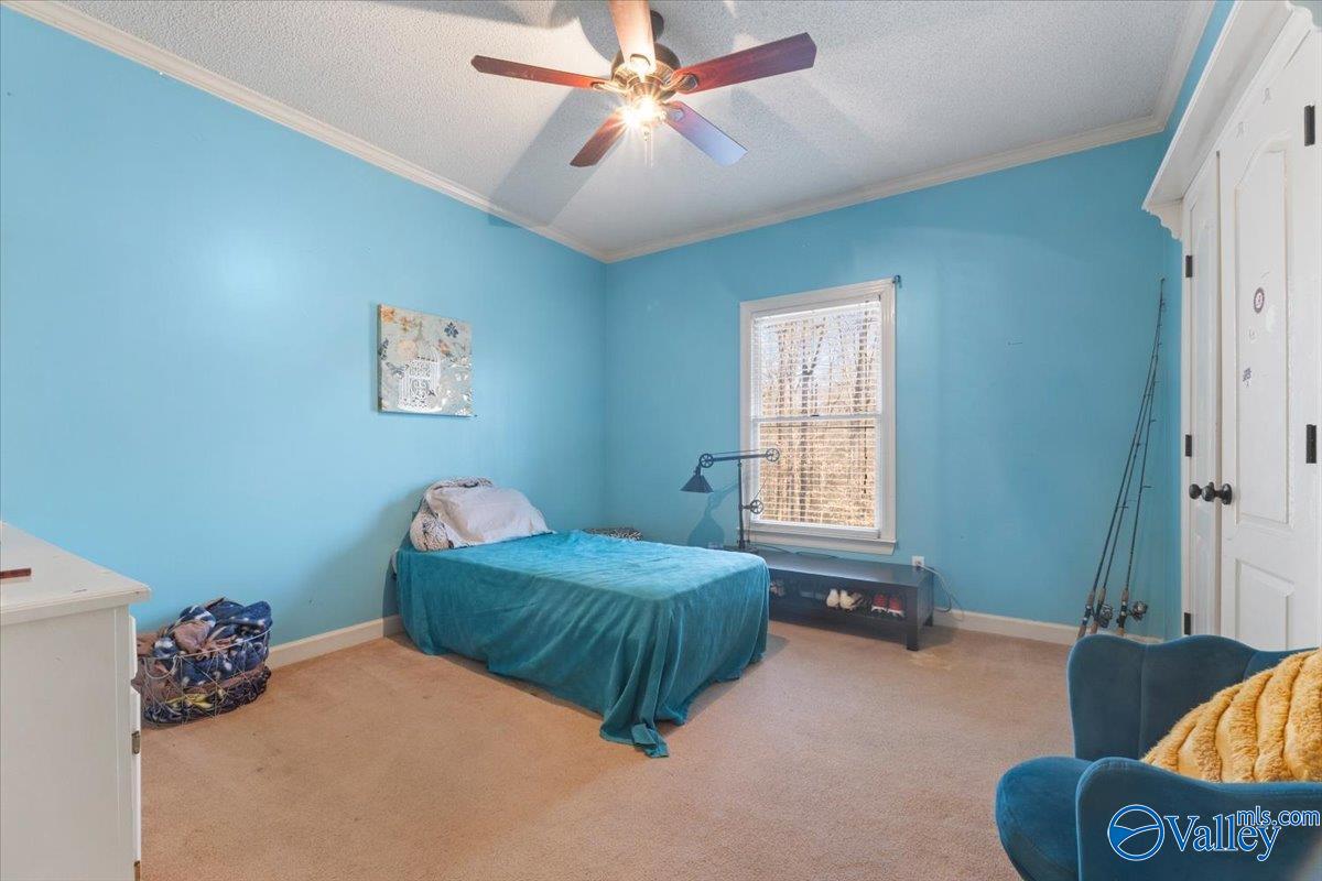 509 Mulberry Road, Hazel Green, Alabama image 26