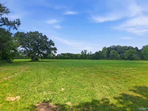 Vacant Land For Sale - 3820 S South Chapel Hill Road<br/> Decatur, AL 35603