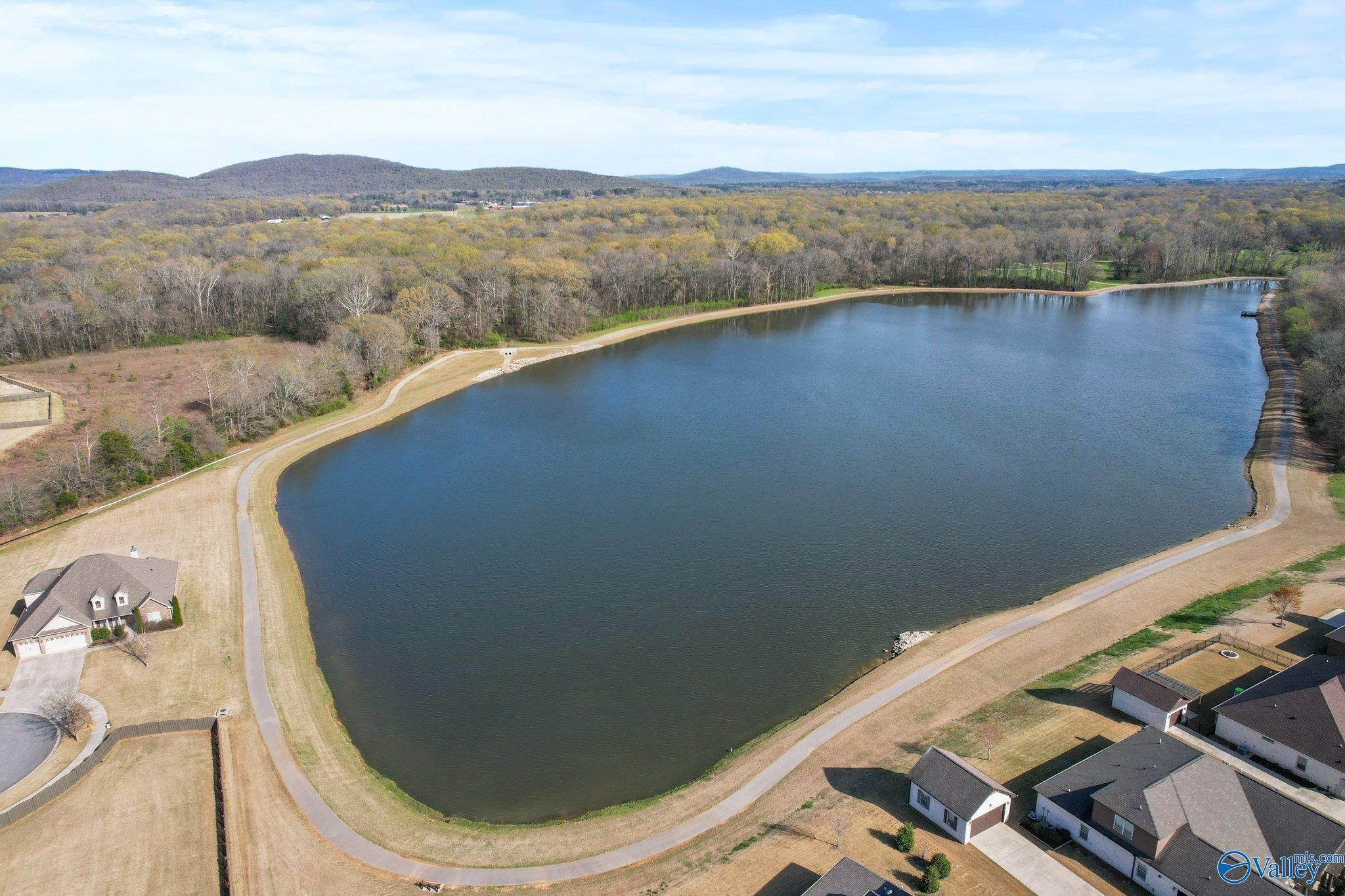 4529 SE Blairmont Drive, Owens Cross Roads, Alabama image 36