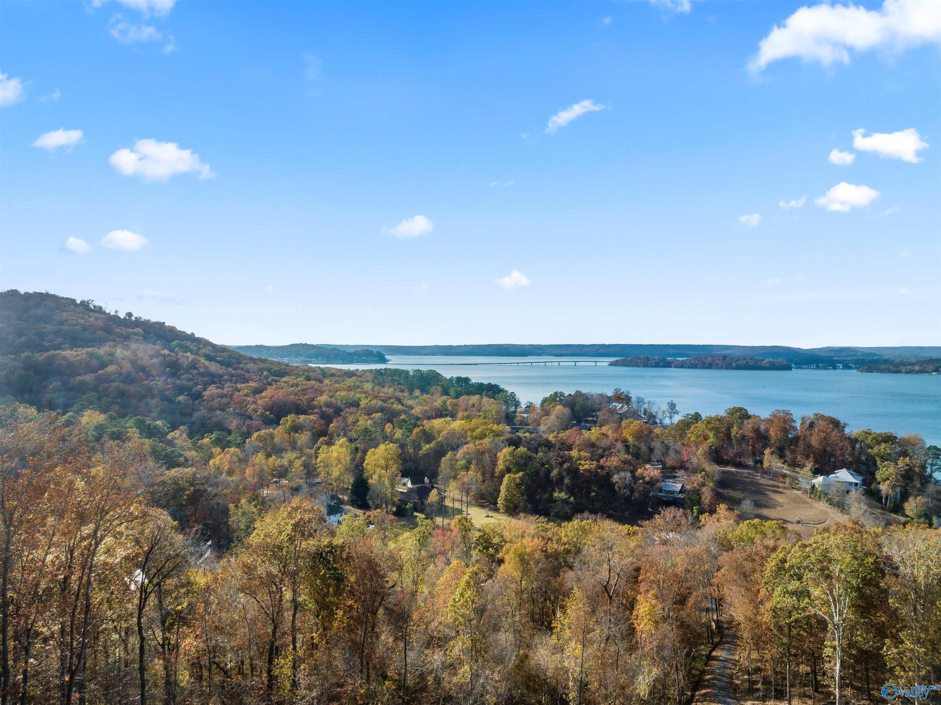 2916 Signal Point Road, Guntersville, Alabama image 3