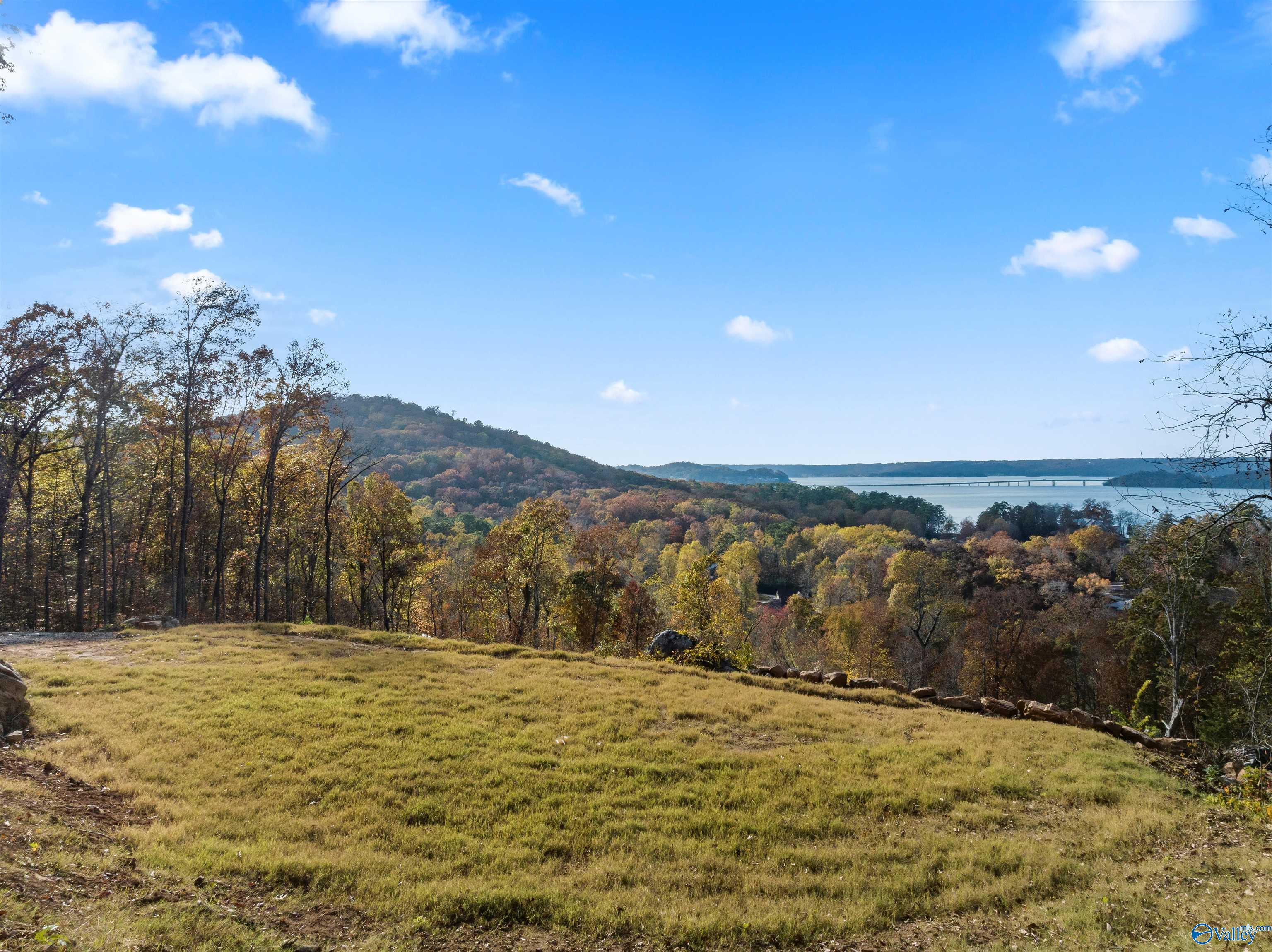 2916 Signal Point Road, Guntersville, Alabama image 9