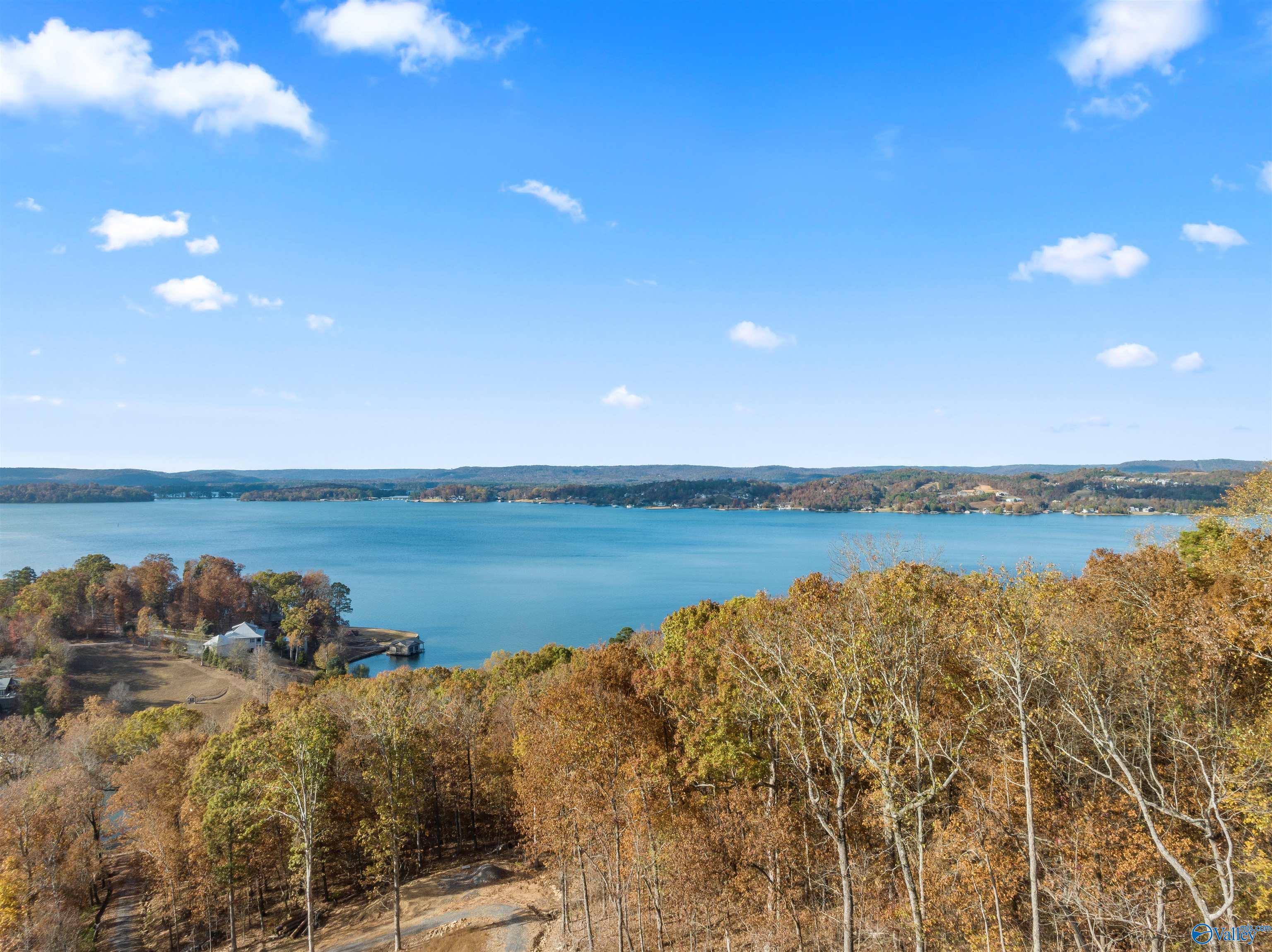 2916 Signal Point Road, Guntersville, Alabama image 4