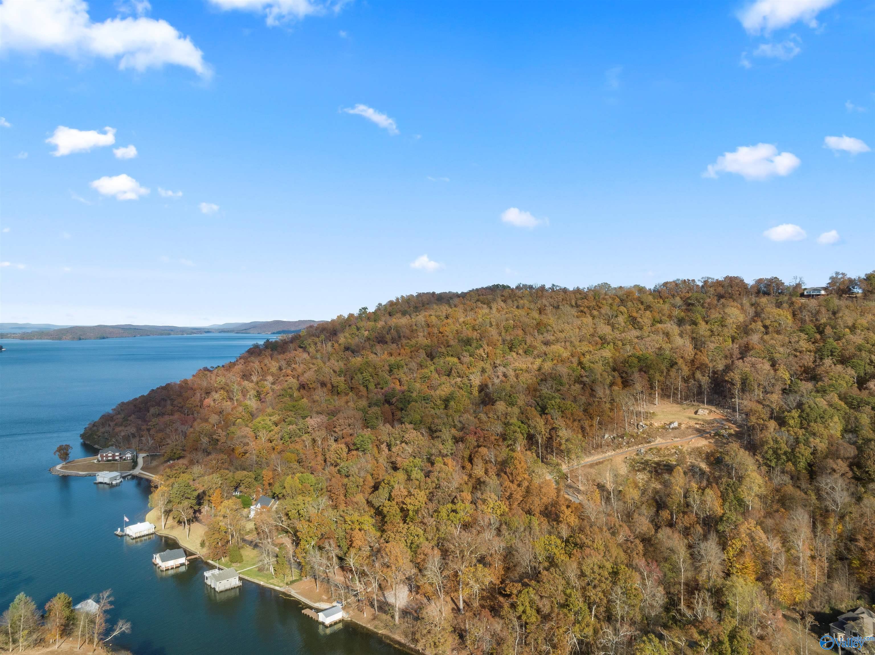 2916 Signal Point Road, Guntersville, Alabama image 1