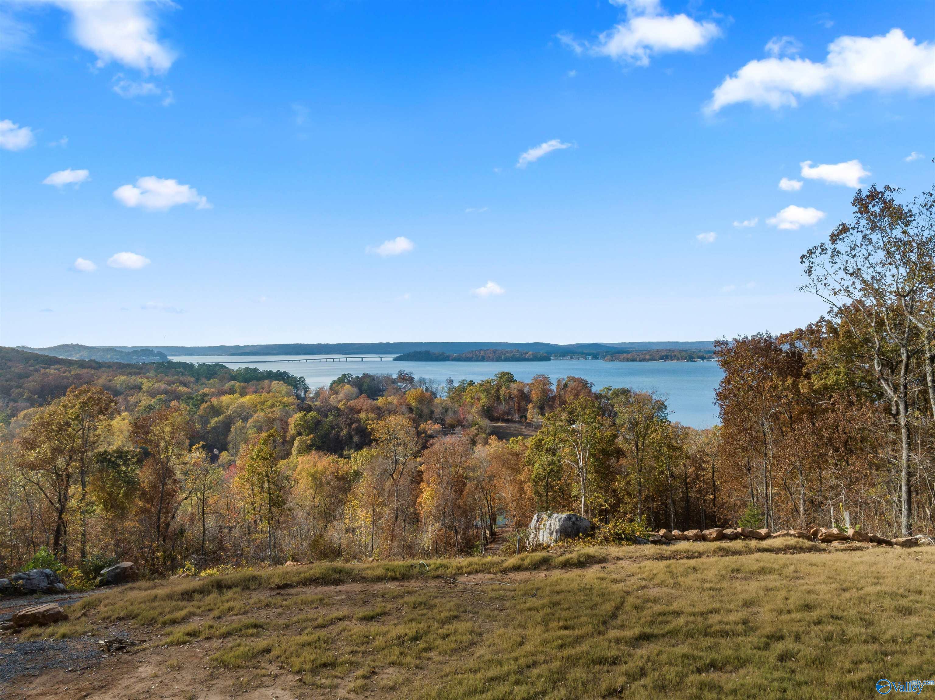 2916 Signal Point Road, Guntersville, Alabama image 10