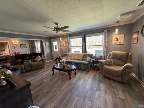 Homes For Sale - 30773 Hwy 79<br/> Jackson County, Scottsboro, AL 35768