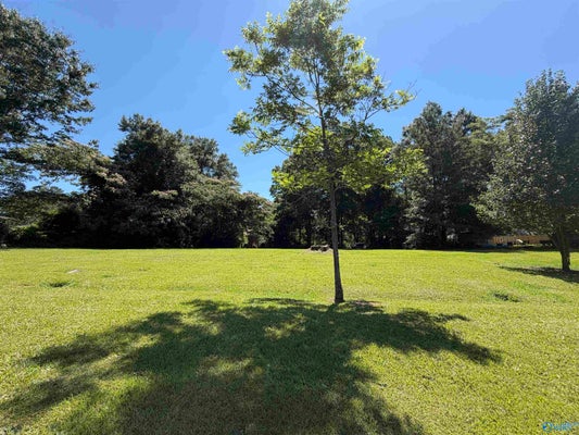 101 SUMMIT DR SE, JACKSONVILLE, AL 36265 - Image 4c3fc7a3adff4fb928529f27dedf47bc/1691967663