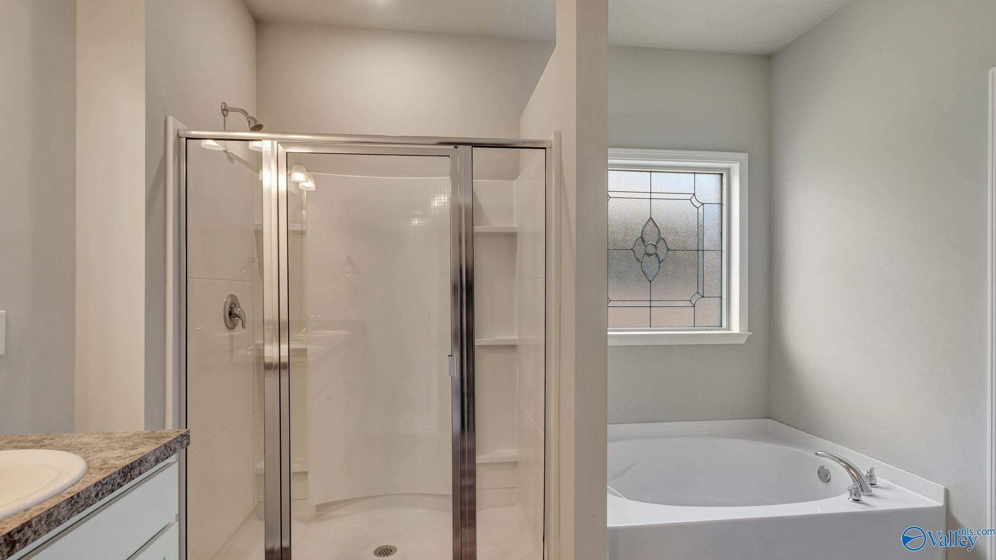 317 River Rock Drive, Madison, Alabama image 15