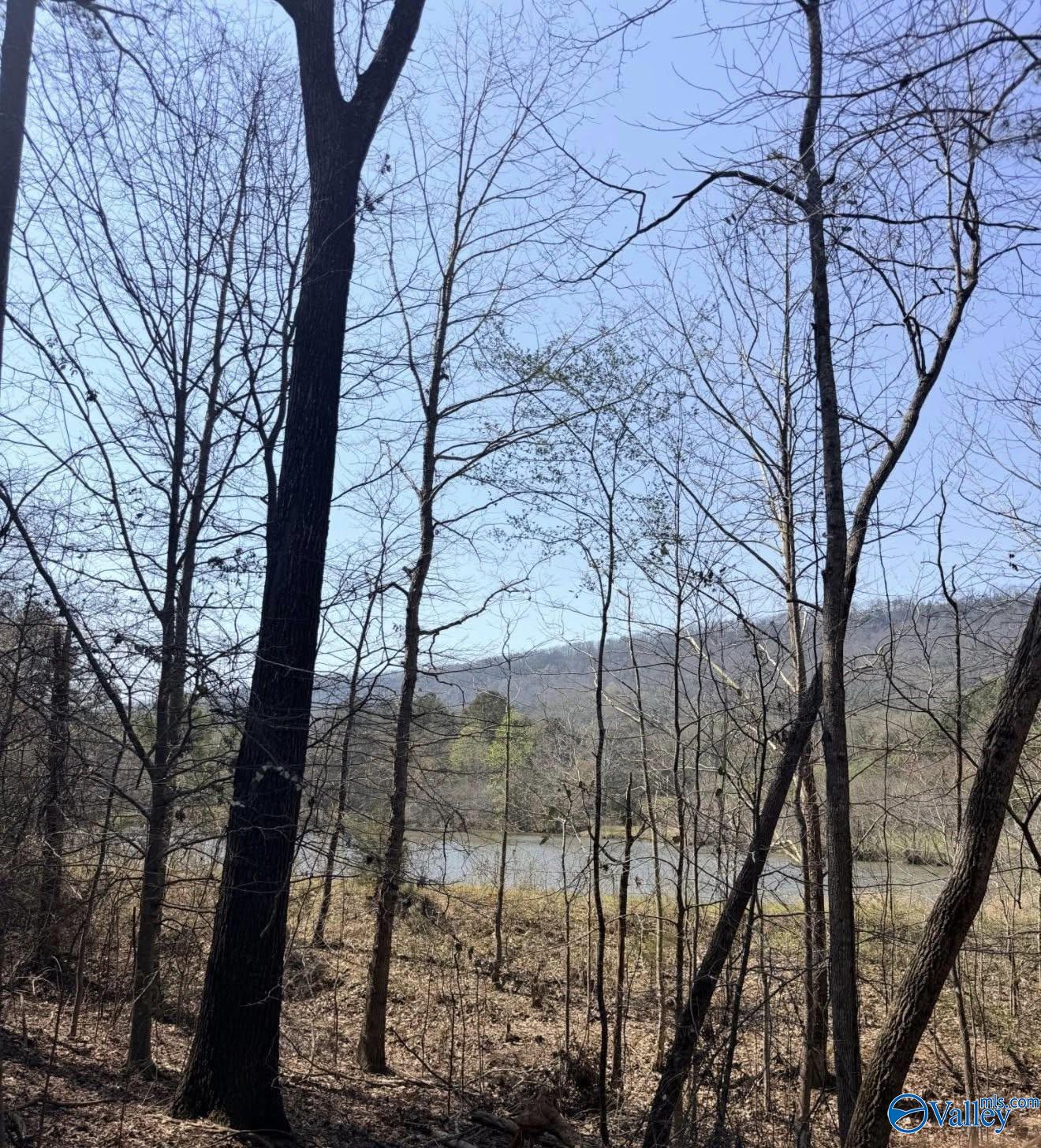 78 Acres Pine Street