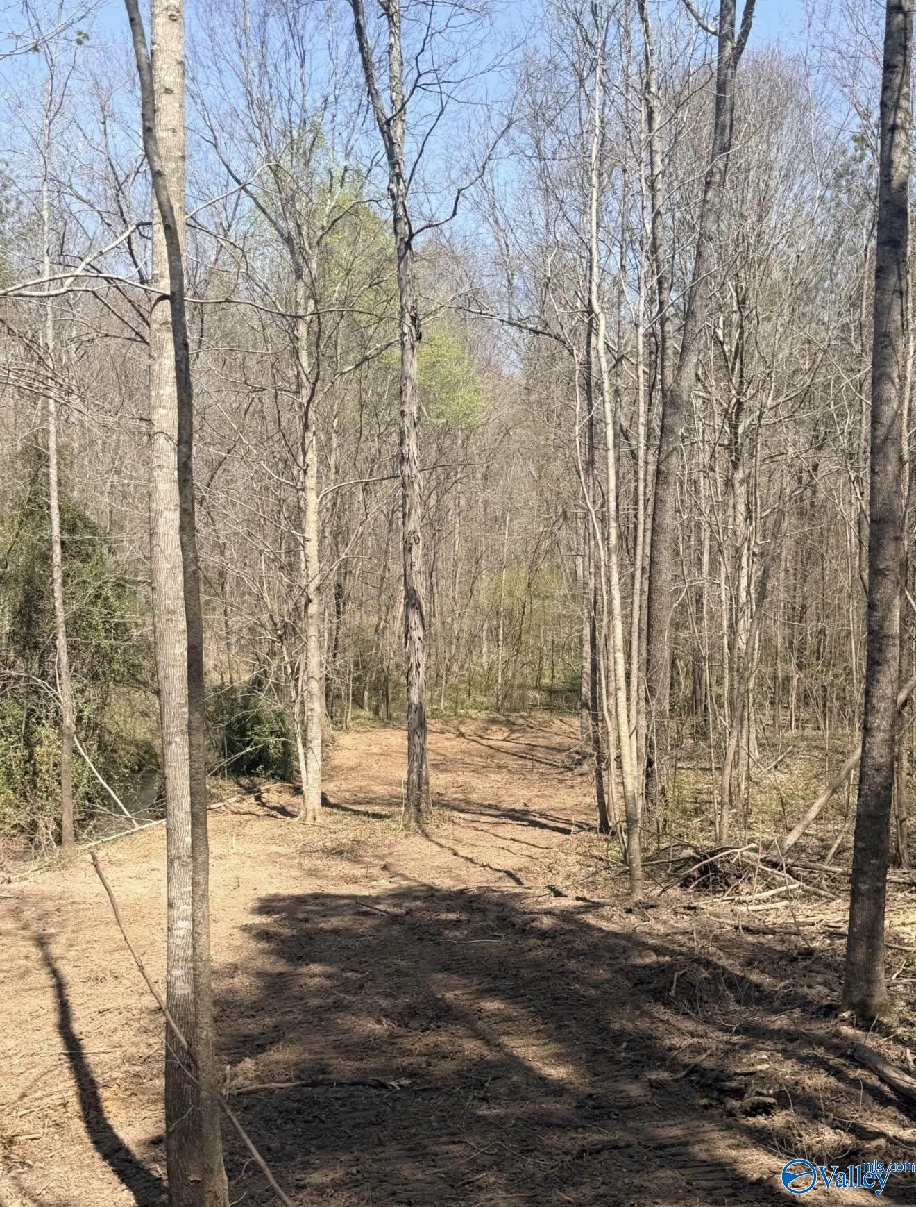 78 Acres Pine Street