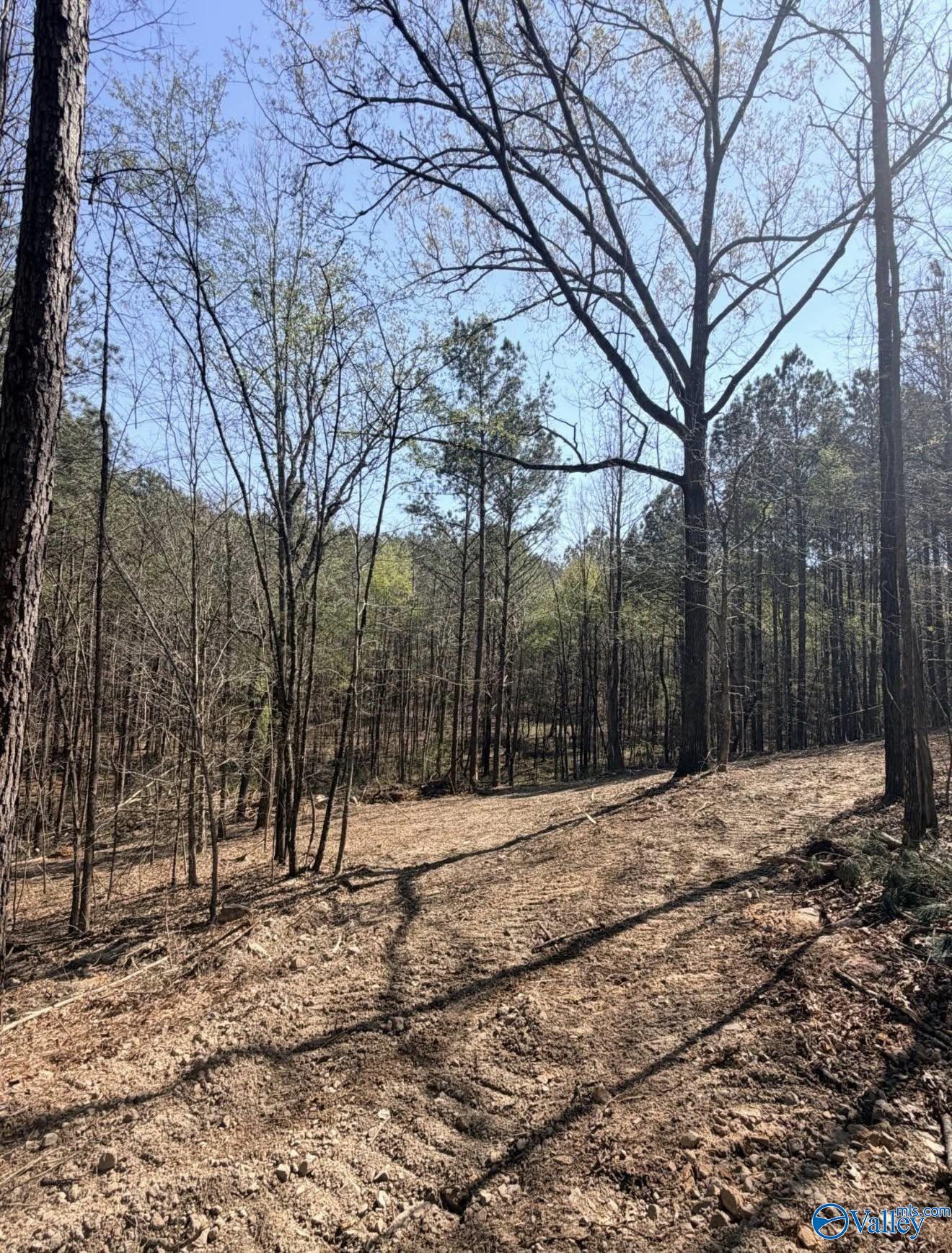 78 Acres Pine Street