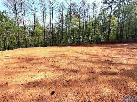 Vacant Land For Sale - 78 ACRES Pine Street<br/> Saint Clair County, Steele, AL 35987