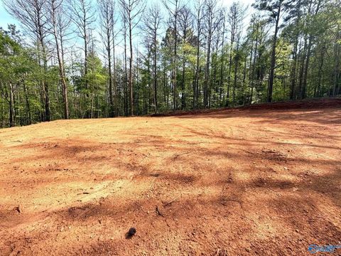 78 Acres Pine Street Steele AL 35987