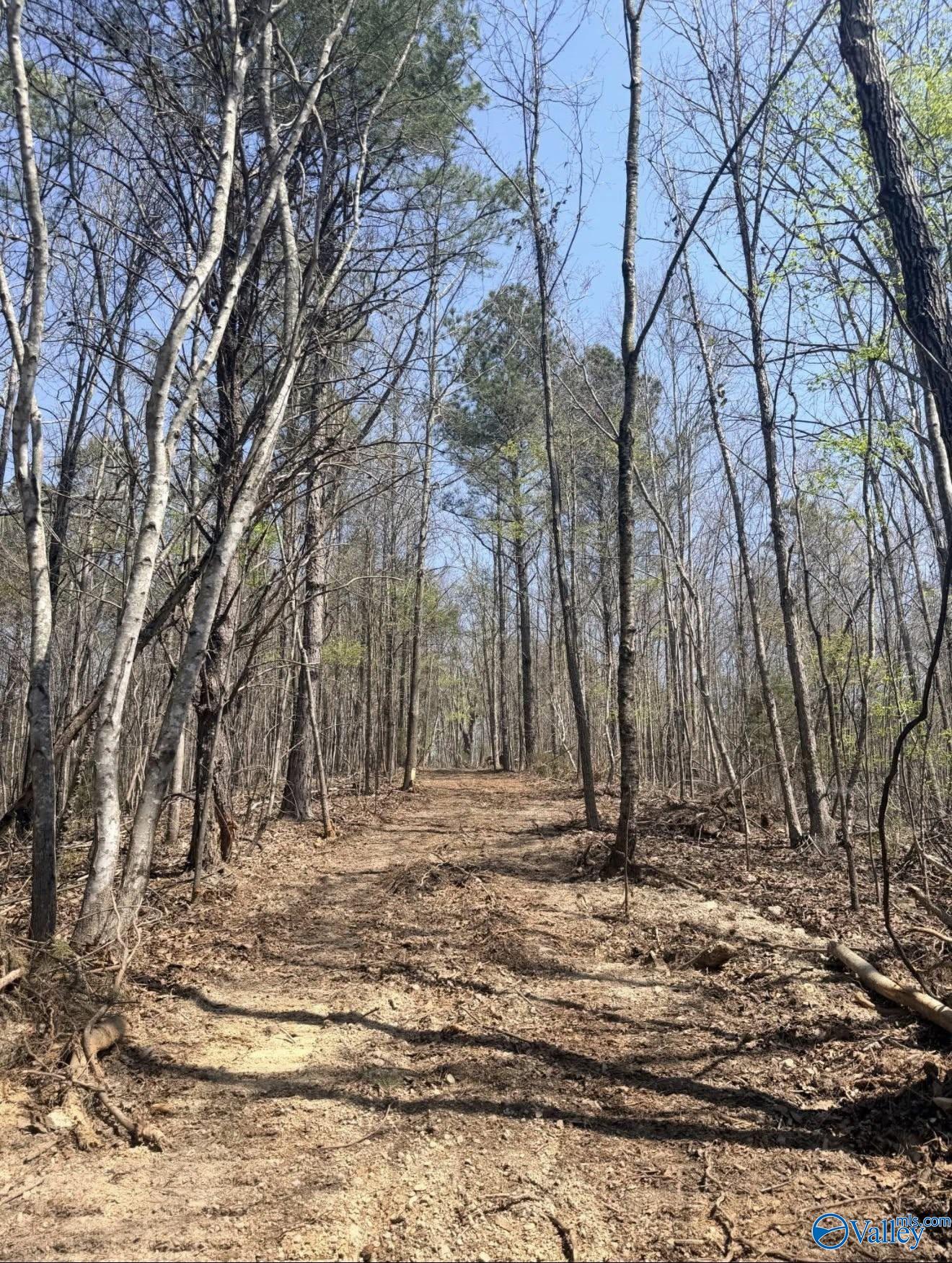 78 Acres Pine Street