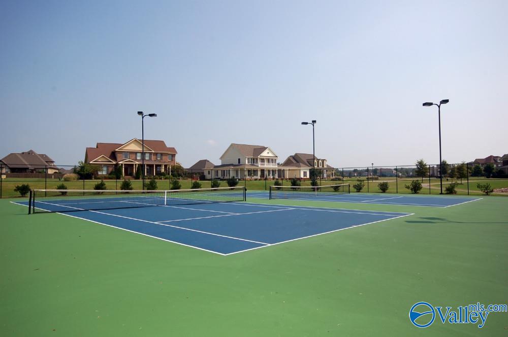 13 Youpon Drive, Huntsville, Alabama image 39
