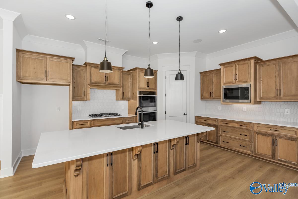 216 Miniver Place, Madison, Alabama image 10