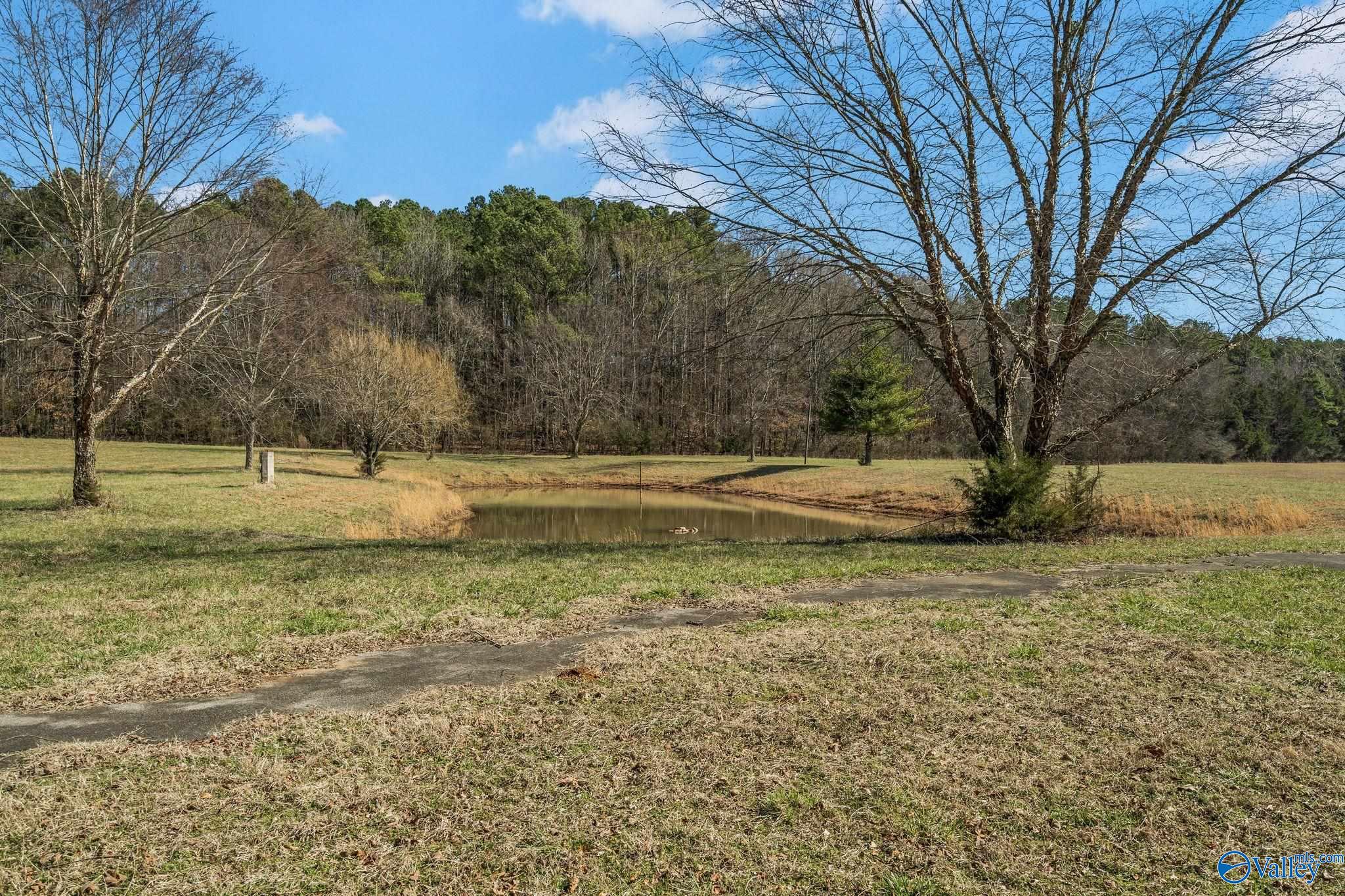 386 Saint Clair Drive, New Market, Alabama image 16