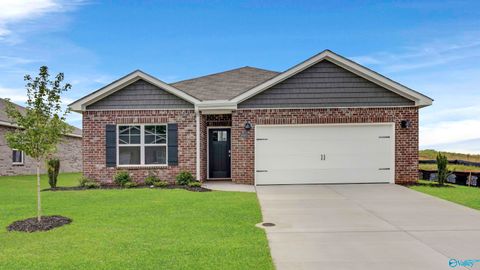 Homes For Sale - 18935 Wicklow Circle<br/> Limestone County, Athens, AL 35613