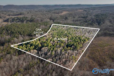 Vacant Land For Sale - 25 ACRES +/- Oak Grove Road<br/> Etowah County, Attalla, AL 35954