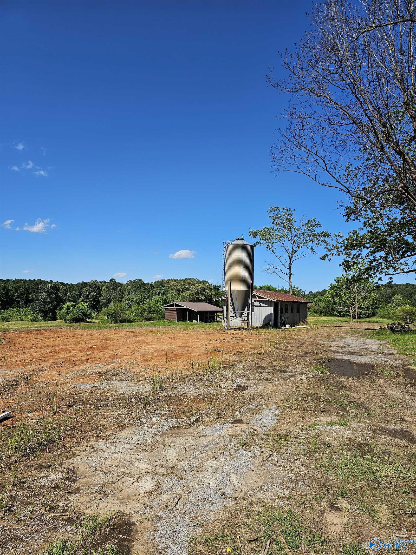 275 Beard Road, Hartselle, Alabama image 17
