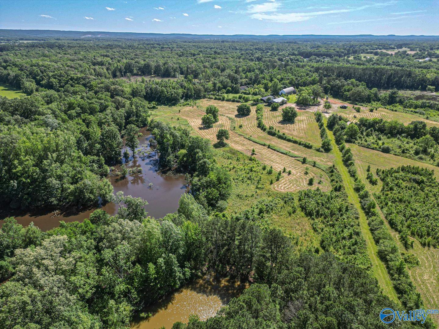 275 Beard Road, Hartselle, Alabama image 9