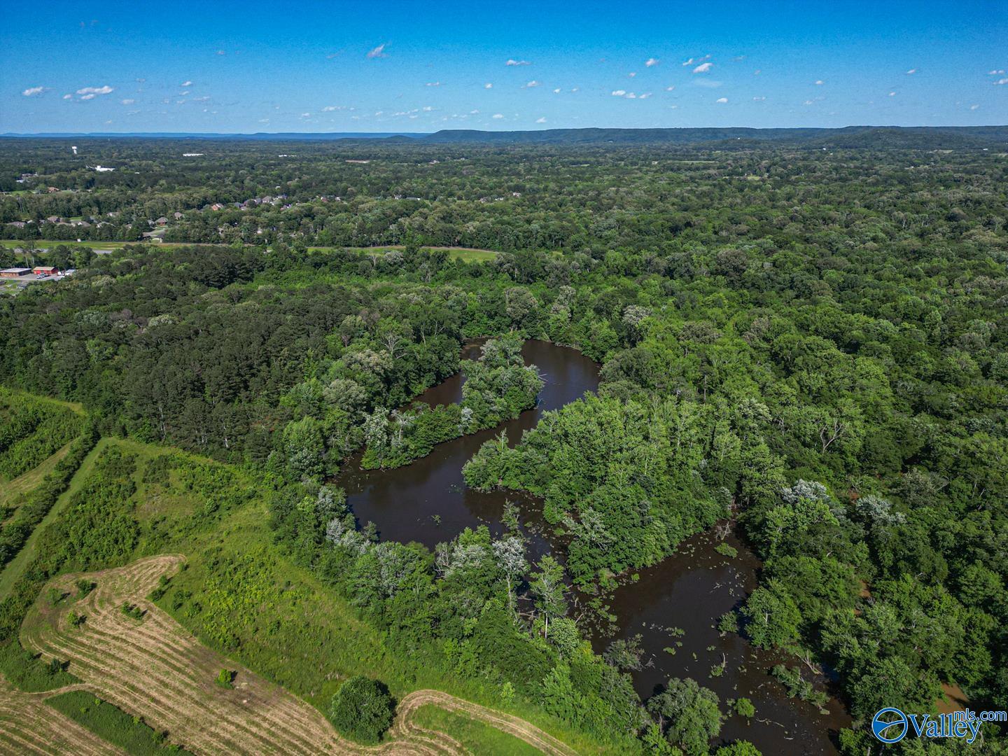 275 Beard Road, Hartselle, Alabama image 3