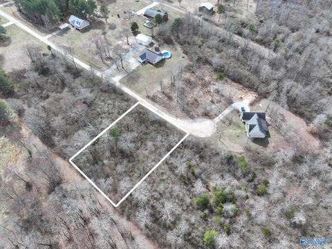 Vacant Land For Sale - LOT 7 Shady Lane<br/> Geraldine, AL 35974