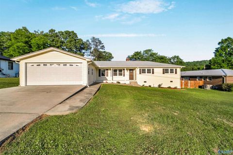 Photo of 297 Peteet Street, Rainbow City, AL 35906 (MLS # 21917302)