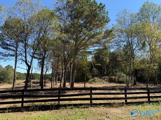 LOT 3 COUNTY ROAD 1497, VINEMONT, AL 35179 - Image 4cbdc1d81aff4d007c3dd15f3a3e234b/3199907110