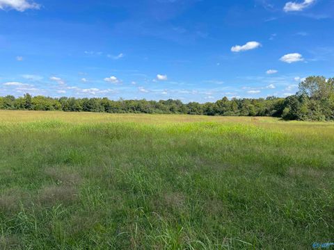 Vacant Land For Sale - 40 ACRES County Road 205<br/> Danville, AL 35619