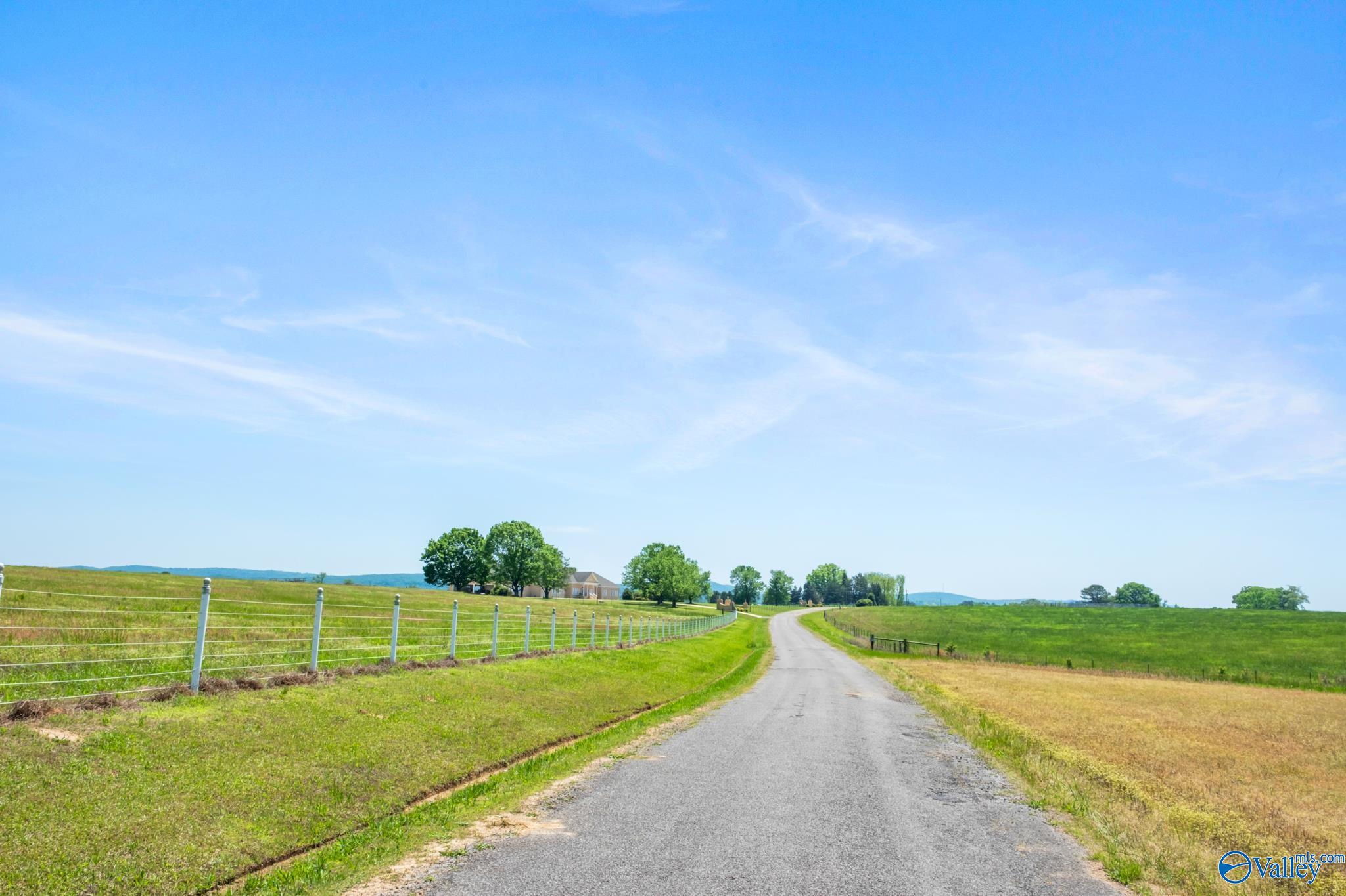 377 County Road 543, Hanceville, Alabama image 8