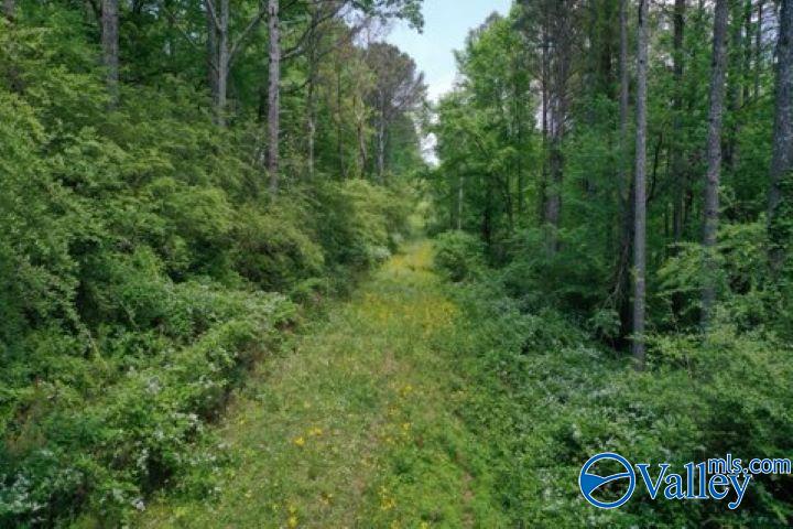 377 County Road 543, Hanceville, Alabama image 6