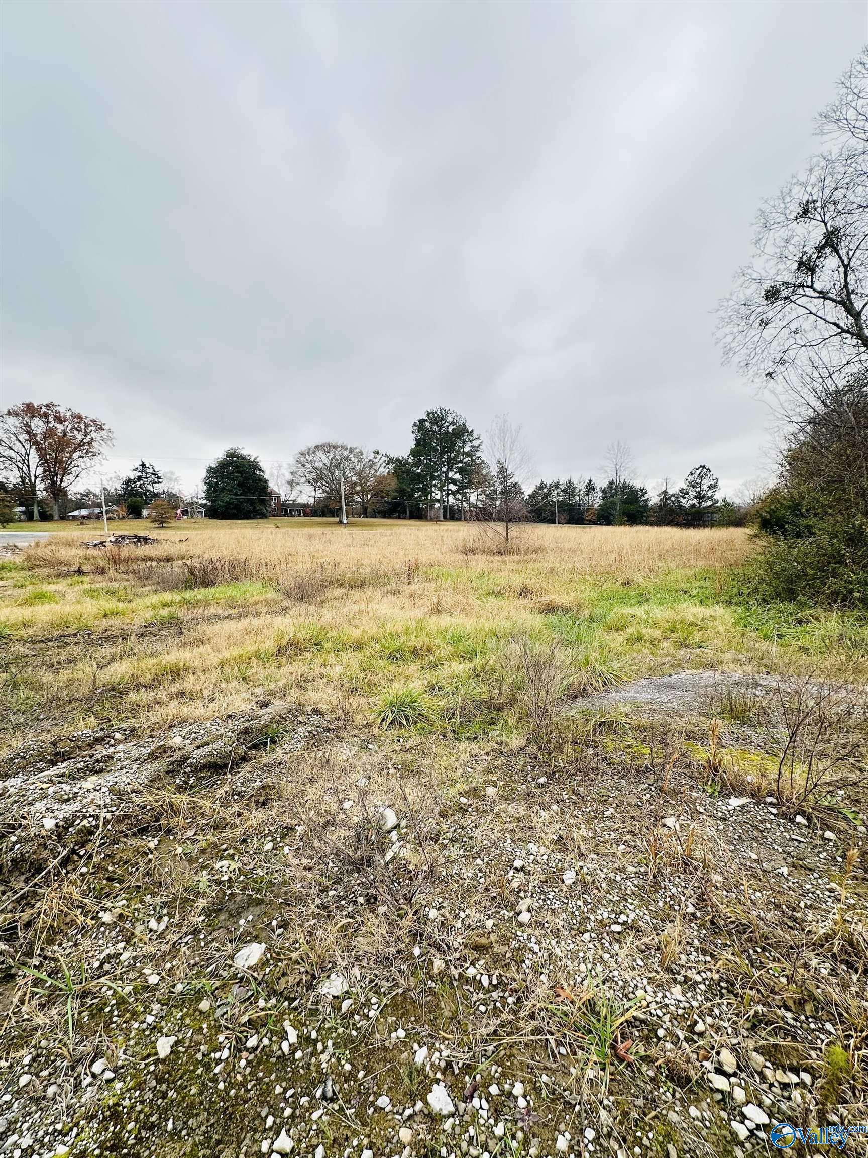 1.4 Acres Morgan Street, Moulton, Alabama image 3