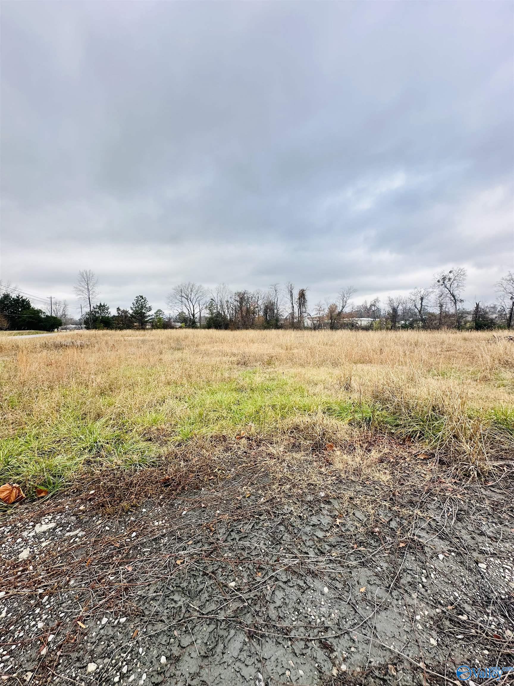 1.4 Acres Morgan Street, Moulton, Alabama image 5