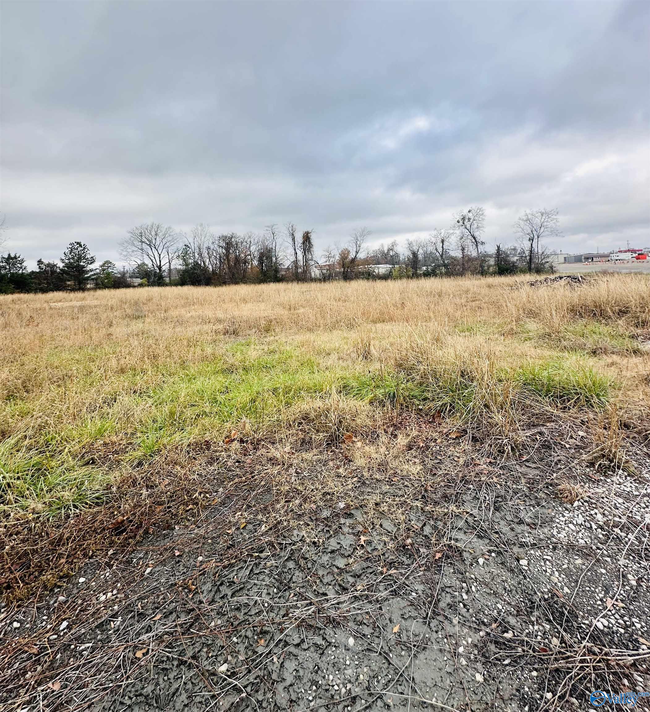 1.4 Acres Morgan Street, Moulton, Alabama image 1