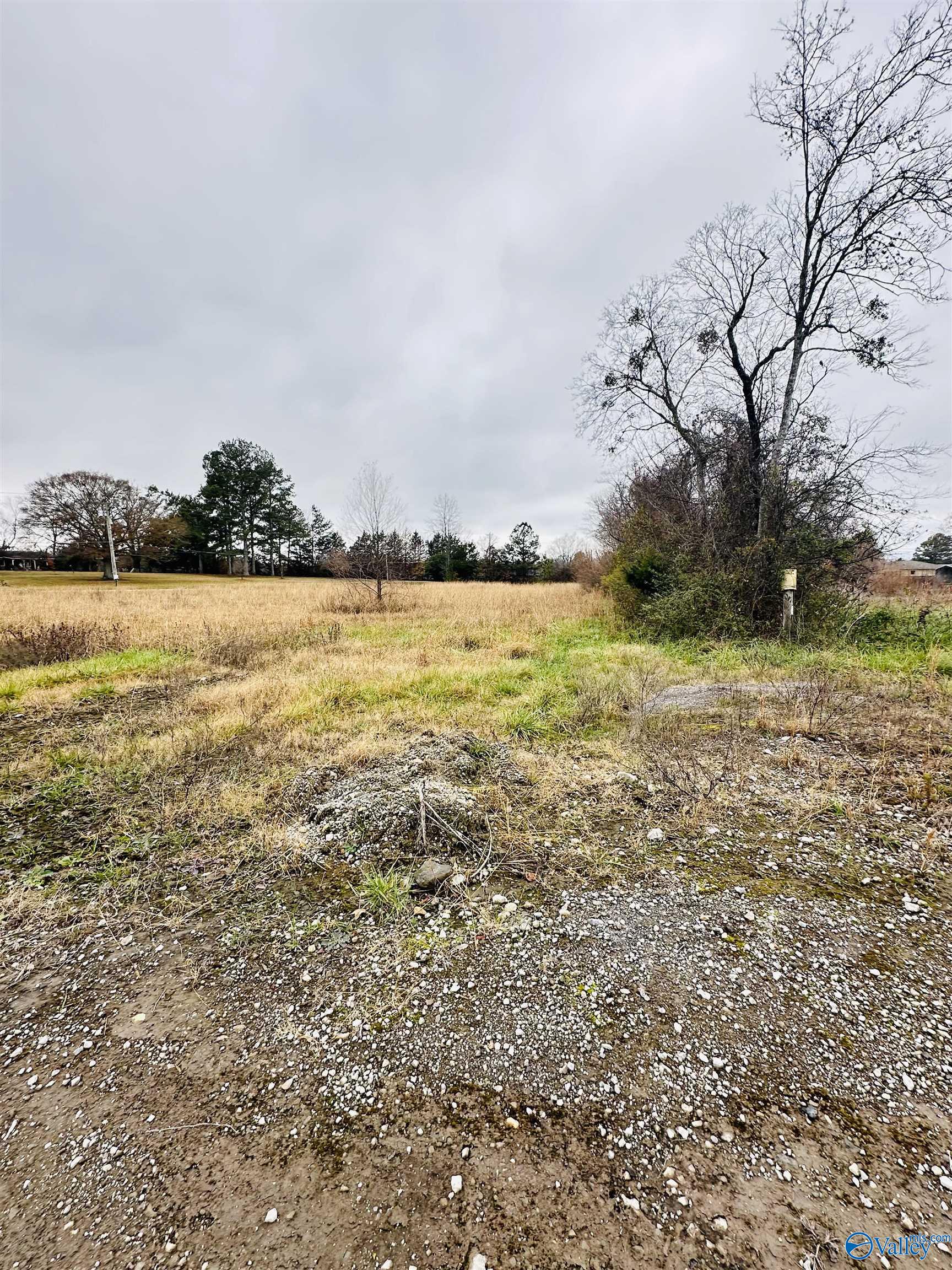 1.4 Acres Morgan Street, Moulton, Alabama image 4