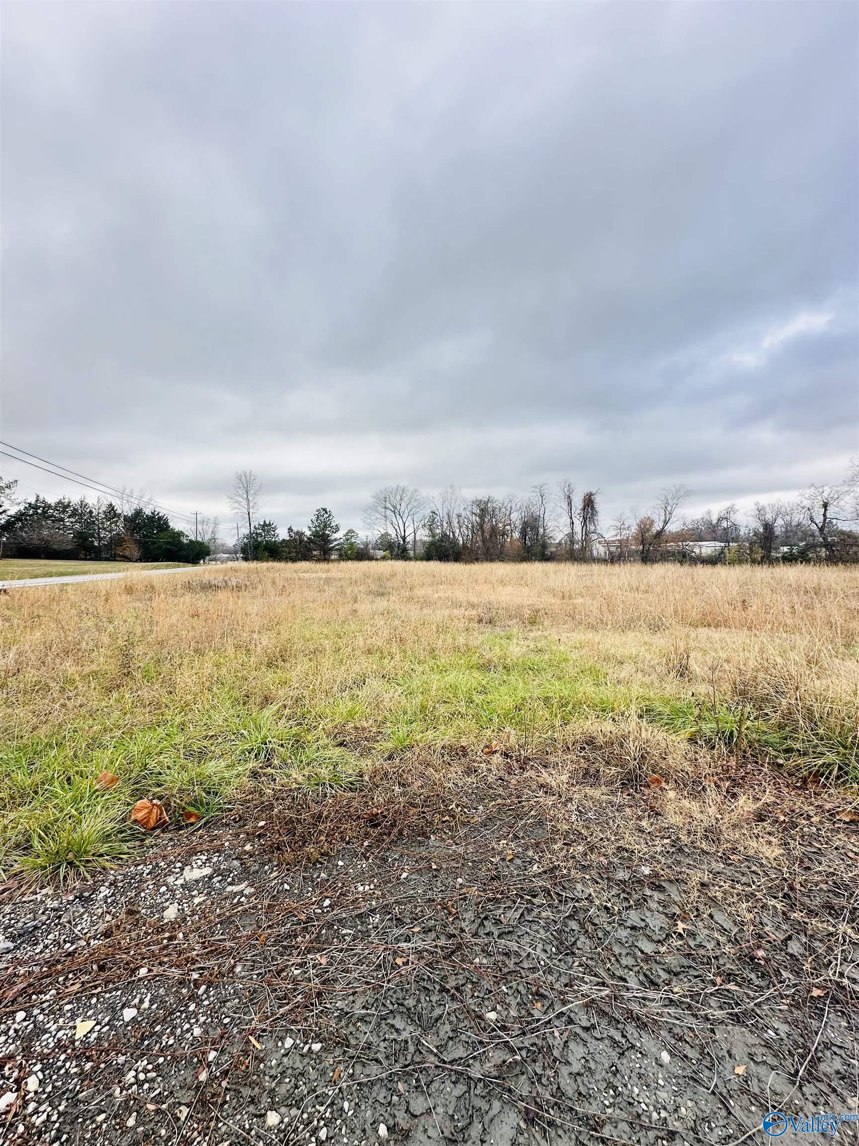 1.4 Acres Morgan Street, Moulton, Alabama image 2