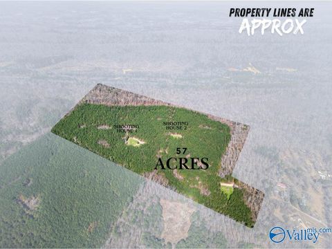 Vacant Land For Sale - 57 ACRES Persall Drive<br/> Etowah County, Gadsden, AL 35901