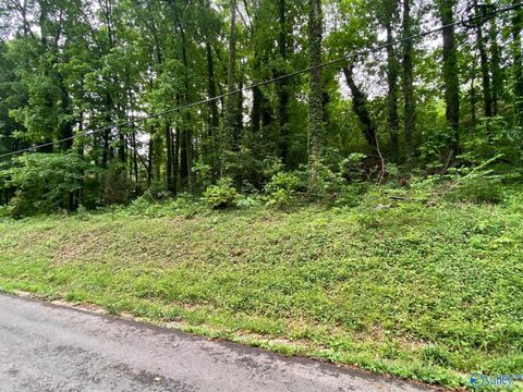 Vacant Land For Sale - LOT 6 Cherokee Road<br/> Guntersville, AL 35976