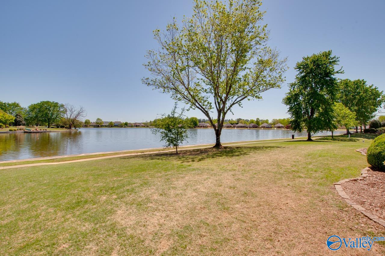3109 Brook Park Drive, Owens Cross Roads, Alabama image 1