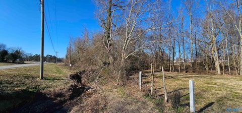 Vacant Land For Sale - 1 +/- ACRE Alabama Highway 227<br/> Geraldine, AL 35974
