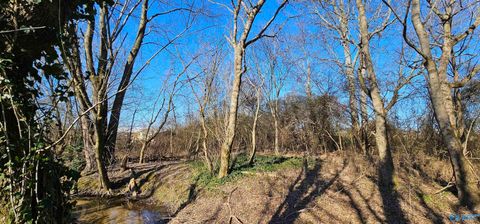 Vacant Land For Sale - 1 +/- ACRE Alabama Highway 227<br/> Geraldine, AL 35974