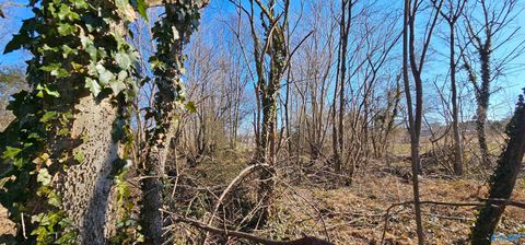 Vacant Land For Sale - 1 +/- ACRE Alabama Highway 227<br/> Geraldine, AL 35974