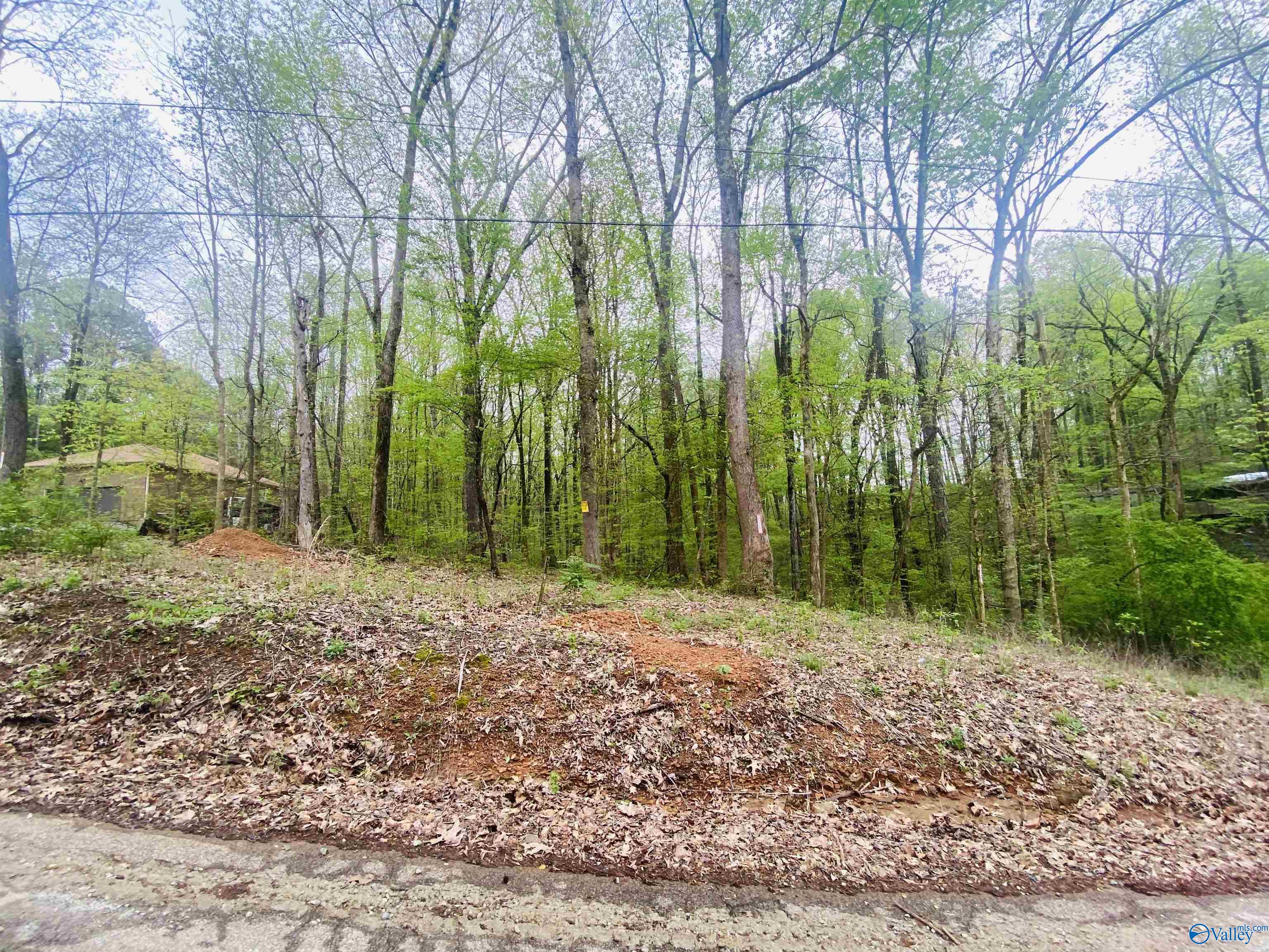 12466 Beech Fork Lane, Athens, Alabama image 1