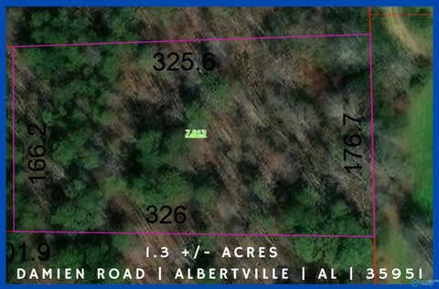 Vacant Land For Sale - 1.3 +/- ACRE Damien Road<br/> Marshall County, Albertville, AL 35951