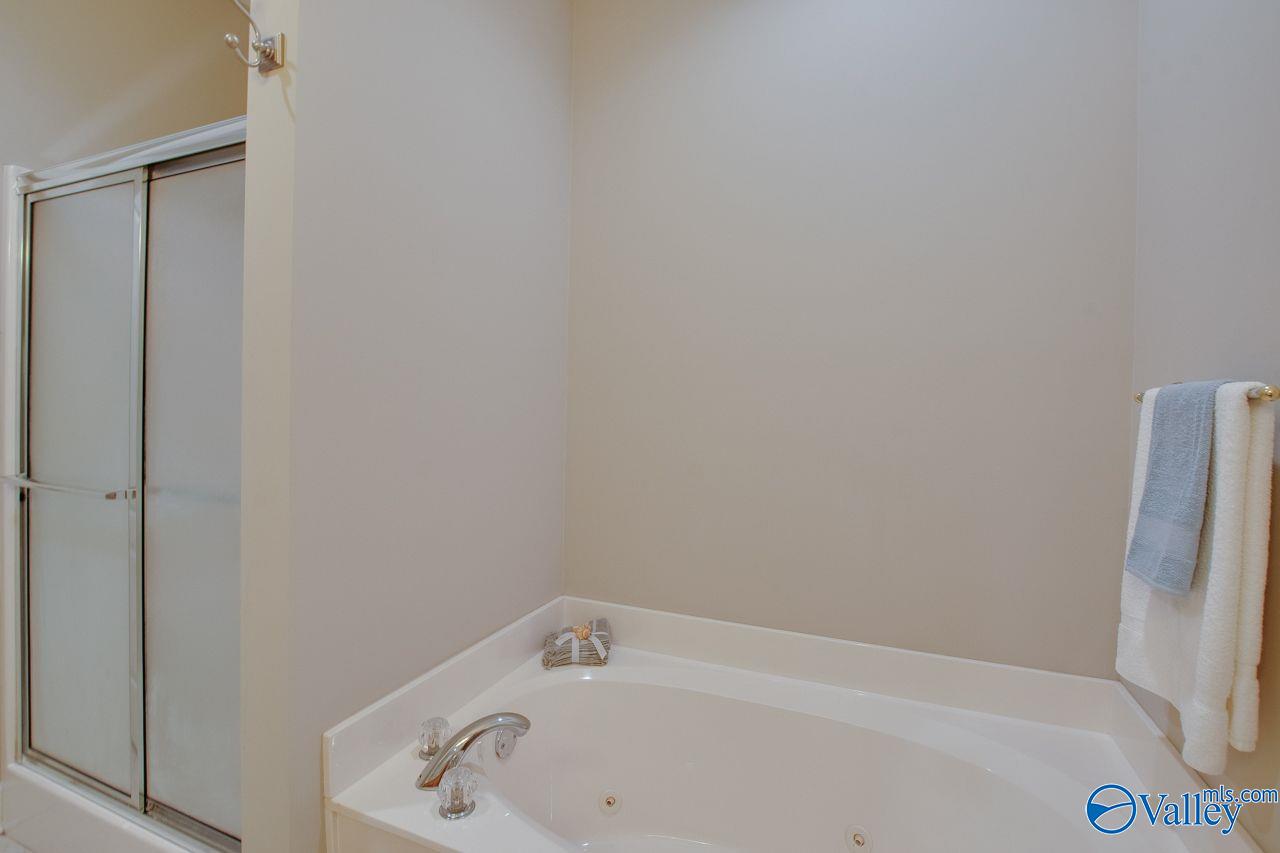 121 Cork Alley, Madison, Alabama image 15